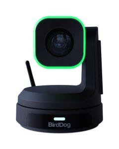 BirdDog X1 PTZ Camera with 20x Zoom - Black