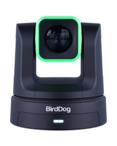 BirdDog X5 Ultra 4K PTZ Camera - Black