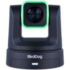 BirdDog X5 Ultra 4K PTZ Camera - Black