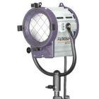 FilmGear 650W Tungsten Fresnel Lamphead with Barndoors (L00650TJ)