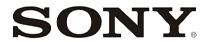 SONY Best Accredited Service Center in the Middle East 2012