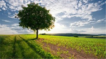 10th Environmental Awareness Photo Competition